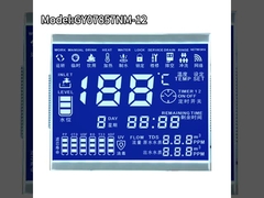 এইচটিএন ব্লু ৮ ইঞ্চি সেগমেন্টড কাস্টম এলসিডি স্ক্রিন প্যানেল