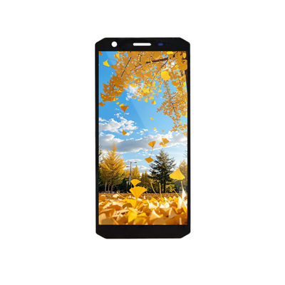 ভালো দাম 5.45 ইঞ্চি টিএফটি এলসিডি ডিসপ্লে মডিউল 720x1440 MIPI ইন্টারফেস অনলাইন